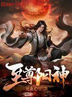 至尊神医阳顶天完整版