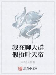 我在聊天群扮演叶天帝飞卢 我在聊天群扮演叶天帝飞卢