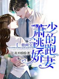一胎两宝肃少的逃跑新娘 一胎两宝肃少的逃跑新娘