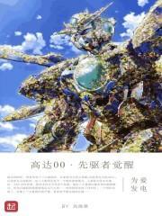 高达00先驱者的觉醒之后的事