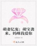 萌宝来袭妈咪我爹地呢免费阅读 萌宝来袭妈咪我爹地呢免费阅读