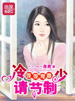 夜夜宠妻冷少请节制