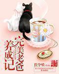 都市我女儿来自未来