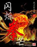 闪翼拳皇官方网站 闪翼拳皇官方网站