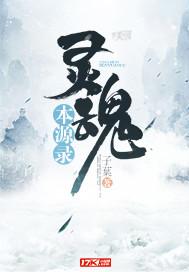 灵魂本质是什么