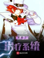 海贼之治疗系统