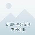 我有神之手,开局偷取完全体九尾 我有神之手,开局偷取完全体九尾