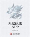 天庭执法APP 天庭执法APP