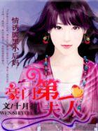 盛宠第一夫人 盛宠第一夫人